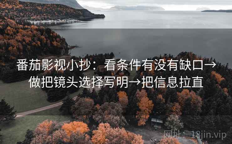 番茄影视小抄：看条件有没有缺口→做把镜头选择写明→把信息拉直
