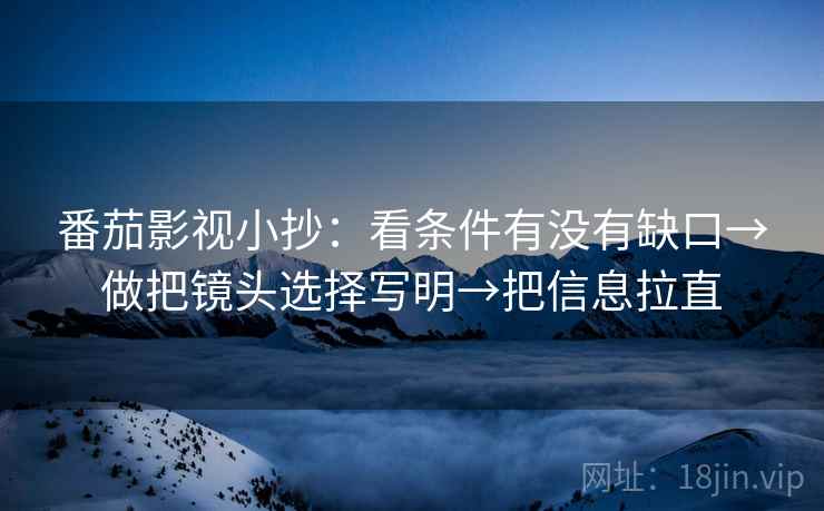 番茄影视小抄：看条件有没有缺口→做把镜头选择写明→把信息拉直